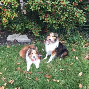 Meet your Posher, Beth